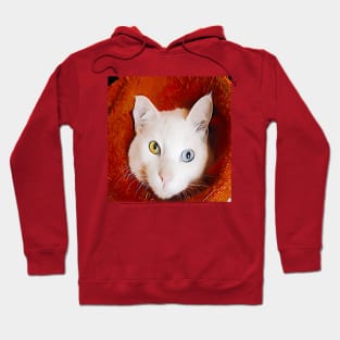 WHITE CAT Hoodie